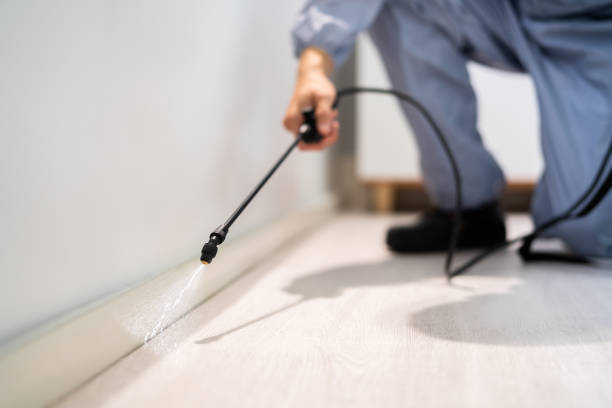 Licensed Fumigation Services service in Galveston, TX - Nex Pest Control