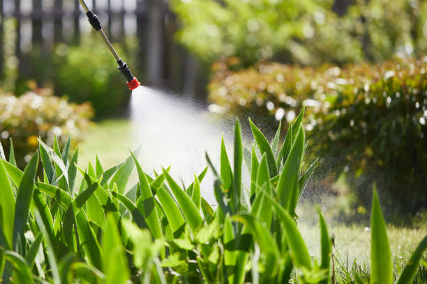 24/7 Emergency Fumigation Services experts in Galveston, TX