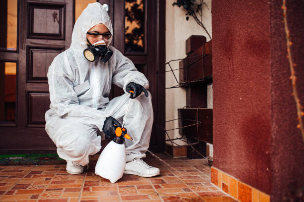 Reliable Fumigation Services contractor in Galveston, TX by Nex Pest Control