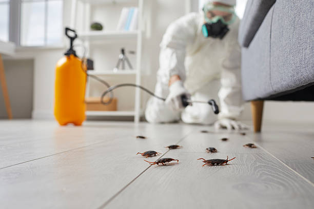 Trusted Mosquito Control service in Galveston, TX - Nex Pest Control