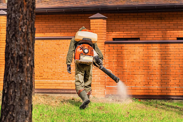 Trusted Bed Bug Control service in Galveston, TX - Nex Pest Control